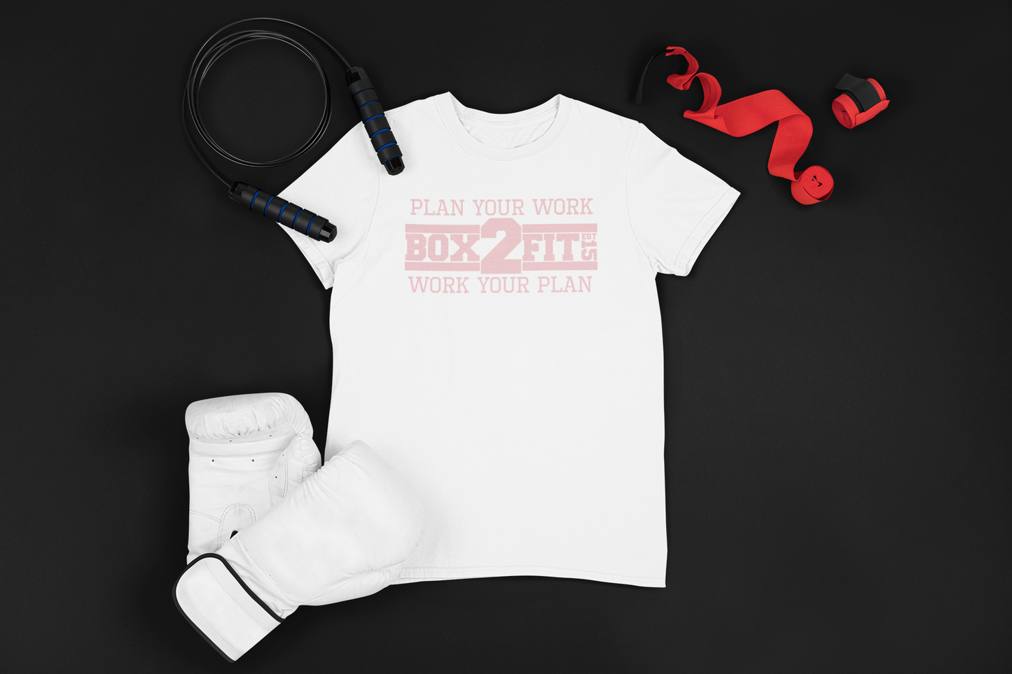 Plan Your Work Work Your Plan T-Shirt