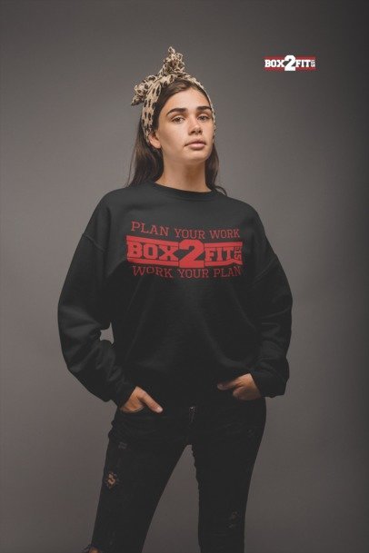 Plan Your Work Work Your Plan Premium Crewneck Sweater