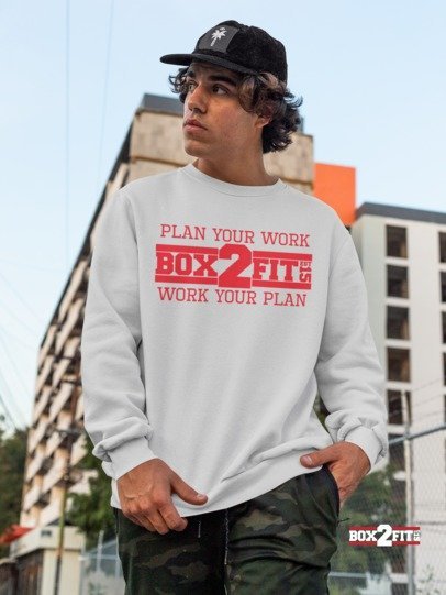 Plan Your Work Work Your Plan Premium Crewneck Sweater