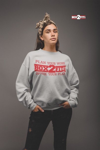 Plan Your Work Work Your Plan Premium Crewneck Sweater