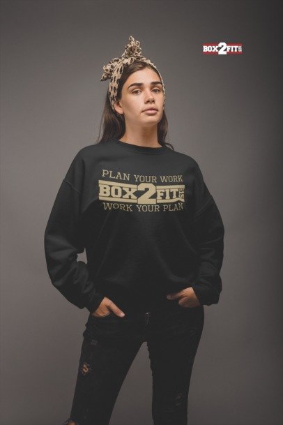 Plan Your Work Work Your Plan Premium Crewneck Sweater