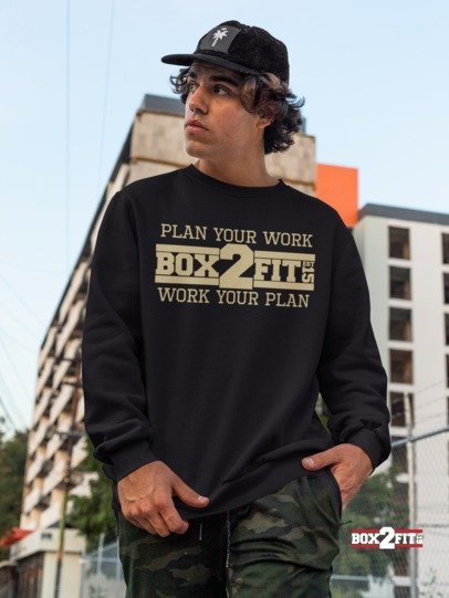 Plan Your Work Work Your Plan Premium Crewneck Sweater