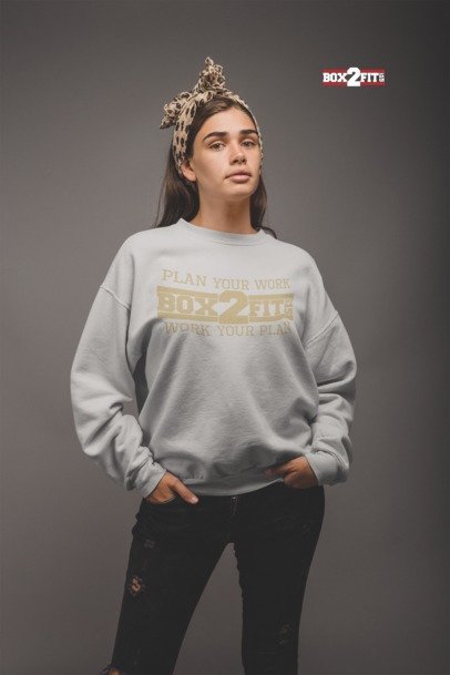 Plan Your Work Work Your Plan Premium Crewneck Sweater