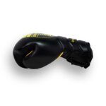 Drako Energizer Pro Sparring Gloves